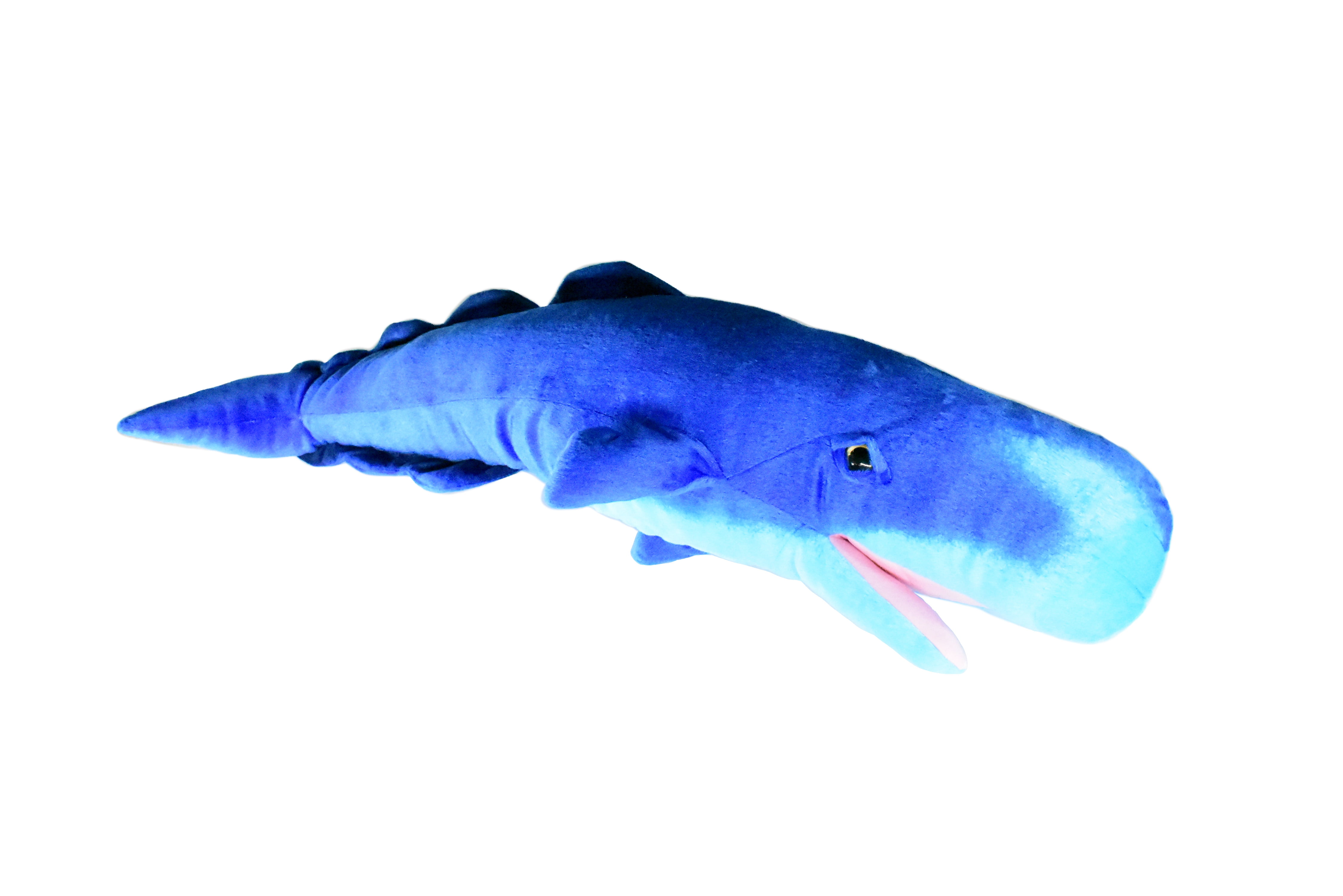 Sperm Whale, Stuffed Animal, Educational Toy, Plush Realistic Figure, Super Soft Fun Cuddle Pet