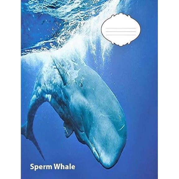 Sperm Whale Wide Ruled Line Paper Composition Book: Whale Fans, Elementary Students, School Supplies, Visual Imparied, L, (Paperback)