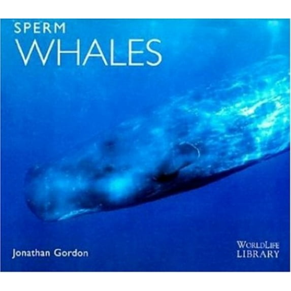 Pre-Owned Sperm Whales (World Life Library) (Paperback) 0896583988 9780896583986