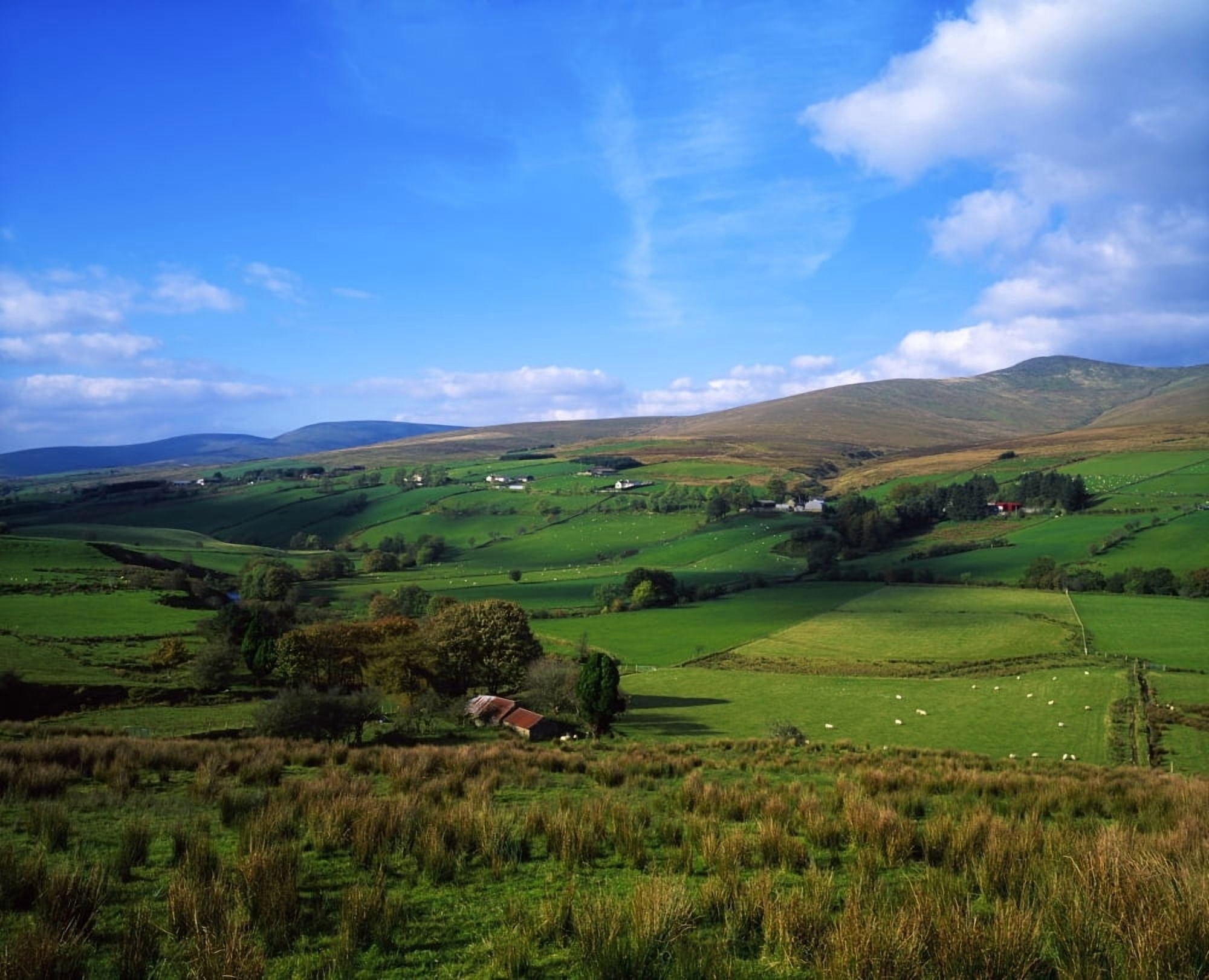 Sperrin Mountains Co Tyrone Ireland Canvas Art - The Irish Image Collection Design Pics (38 x 30)