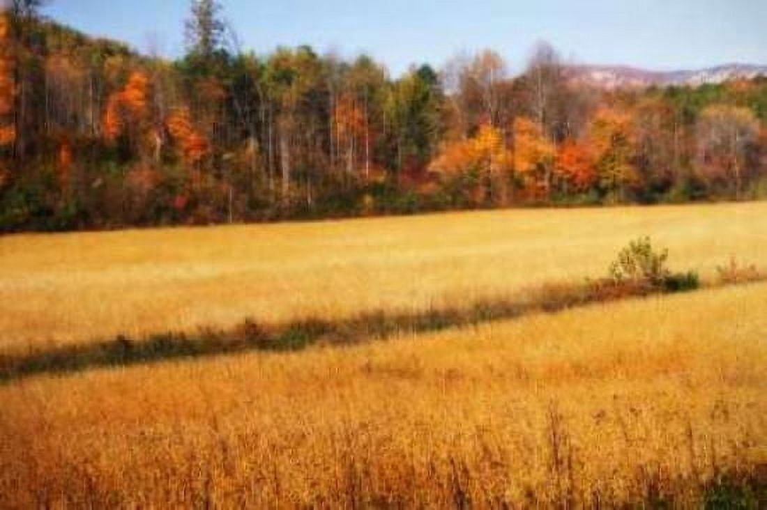 Sperryville Fields III Canvas Art - Alan Hausenflock (20 x 28)