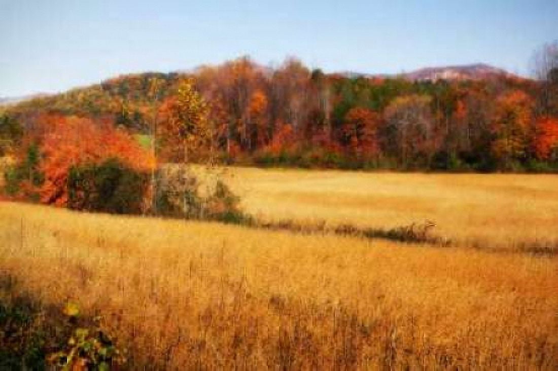 Sperryville Fields IV Canvas Art - Alan Hausenflock (20 x 28)