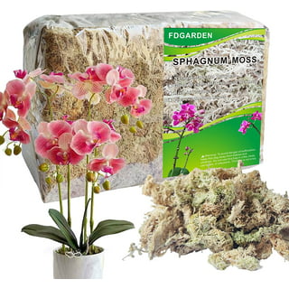 1 lb New Zealand 4A Sphagnum Moss