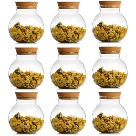 Spherical Glass Jar With Cork Lid Airtight - 17oz Candy Jar Kitchen Glass Jar - for Preserving and Storing Coffee, Spice, Beans, Sugar etc (9)$$Home Decor, Kitchen, & Other