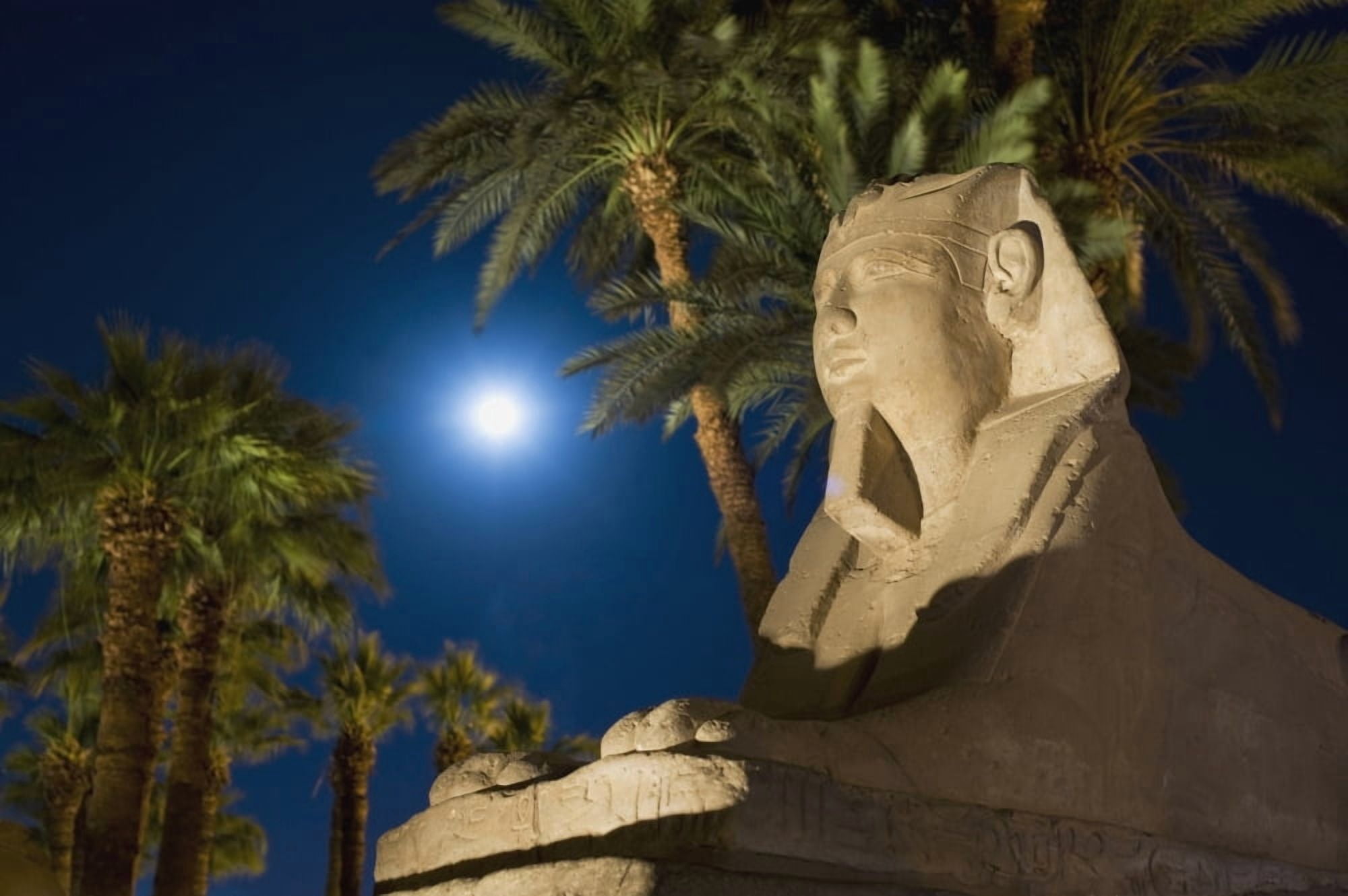 Sphinx And Date Palms With Full Moon Behind Canvas Art - Ian Cumming Design Pics (17 x 11)