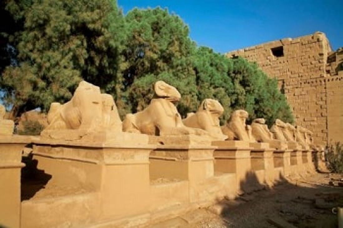 Sphinxes Temple of Karnak Temple of Luxor Avenue of Sphinxes Luxor Egypt Canvas Art - Miva Stock DanitaDelimont (15 x 10)