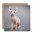 thumbnail image 1 of Sphynx Cat Bald Greetings Card Plus Envelope Blank inside, 1 of 3