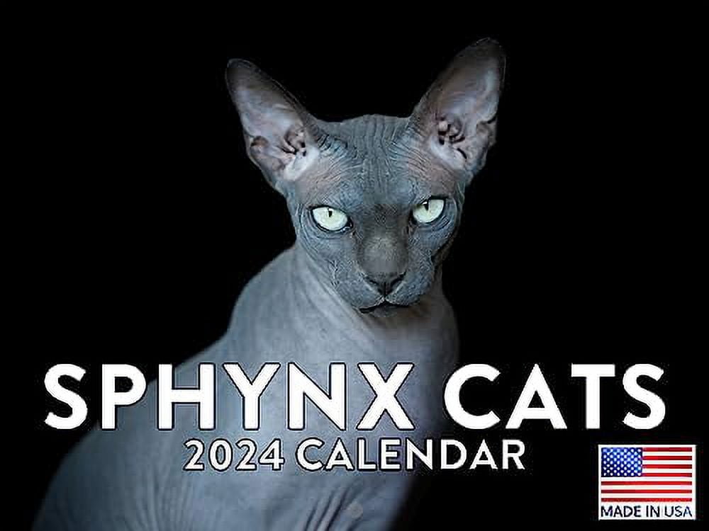 Sphynx Cat Calendar 2024 Hairless Cat Wall Calendar