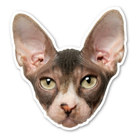Sphynx Cat Magnet