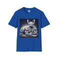 thumbnail image 1 of Sphynx Cat, 1 of 10