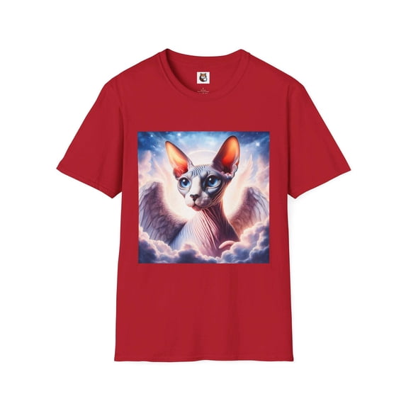 Sphynx Cat