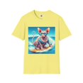 thumbnail image 1 of Sphynx Cat, 1 of 11