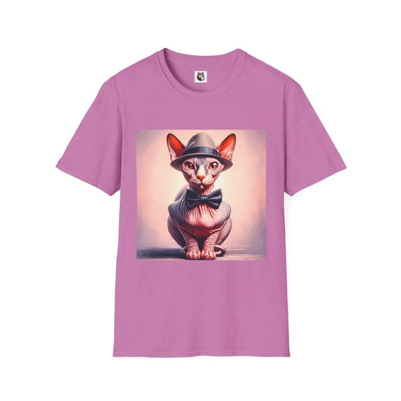 Sphynx Cat