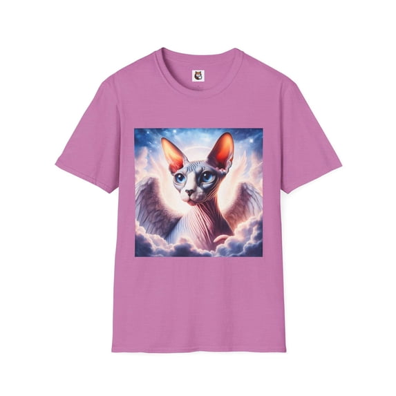 Sphynx Cat