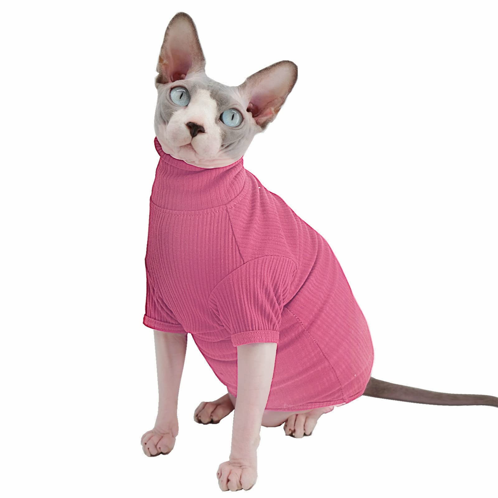Sphynx Cat Turtleneck | Cat Turtleneck Sweater, Hairless Cat Turtleneck