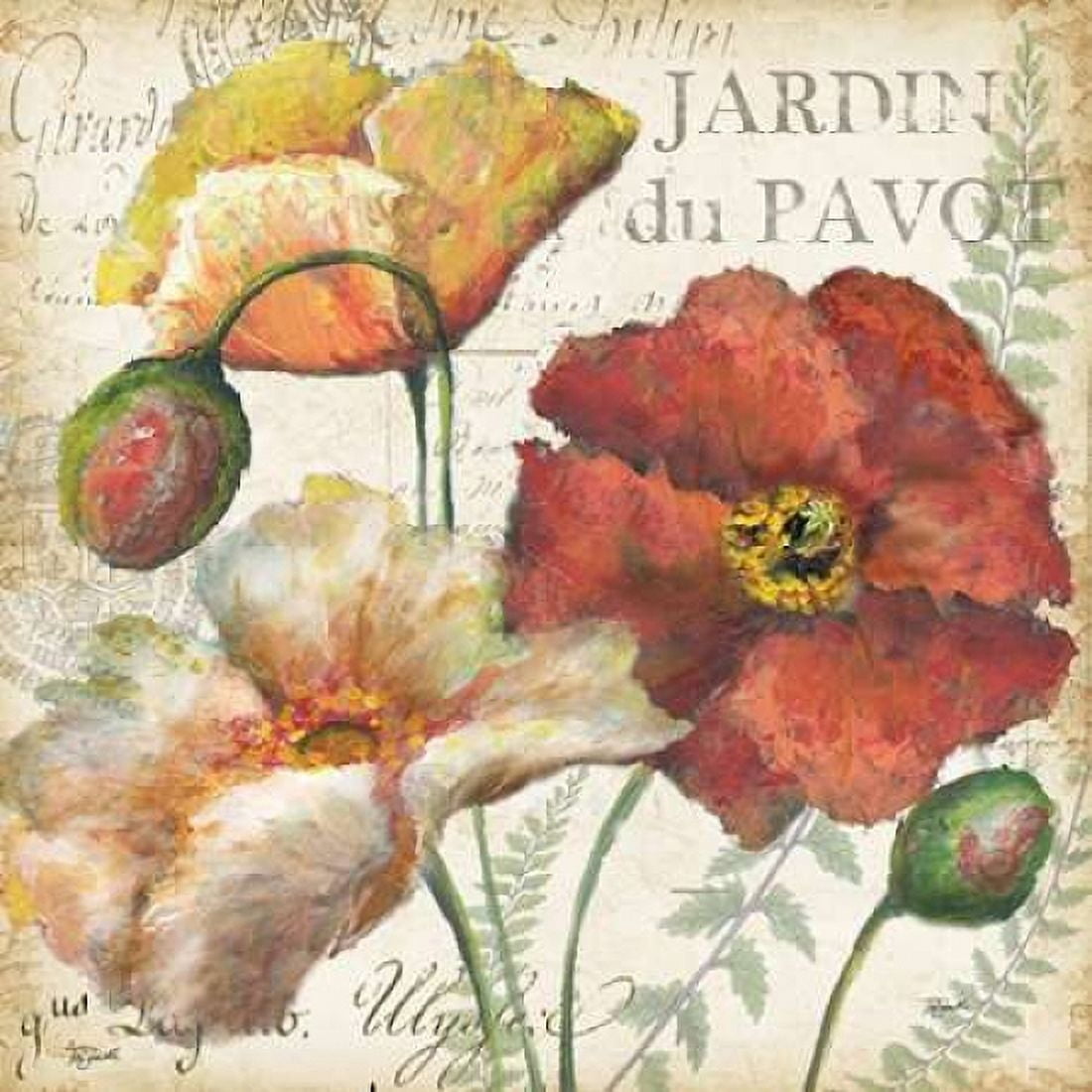 Spice Poppies Histoire Naturelle II Canvas Art - Tre Sorelle Studios (24 x 24)