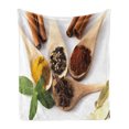 thumbnail image 1 of Spice Soft Flannel Fleece Throw Blanket, Artistically Arranged in Spoons with Cinnamon Sticks and Leaves Healthy Lifestyle, Cozy Plush for Indoor and Outdoor Use, 50" x 70", Multicolor, by Ambesonne, 1 of 6