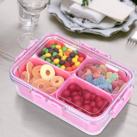 Spice Storage Container, Portable Food Storage Box, Multi-Compartment Airtight Container for Spices, Snacks, Fruit, Lunch, Camping, and Picnics