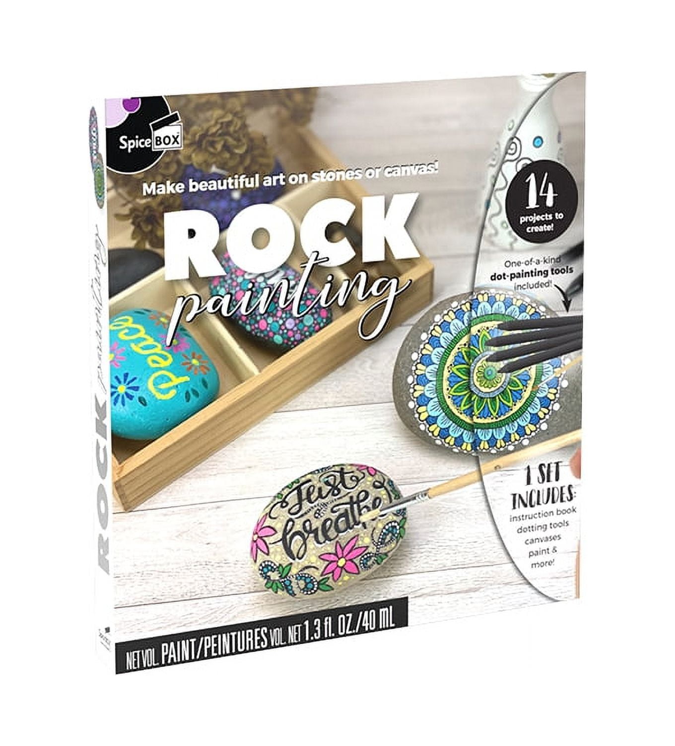 SpiceBox Adult Art Craft & Hobby Kits Sketch Plus Rock Painting 