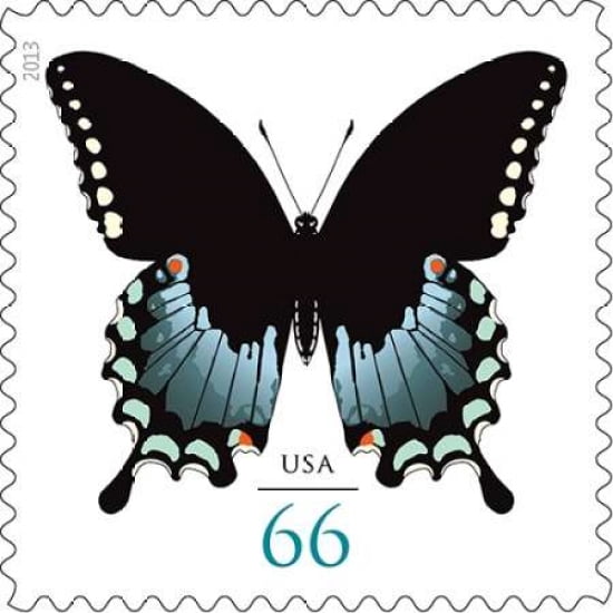 Spicebush Swallow Tail Canvas Art - US POSTAL SERVICE (24 x 24)
