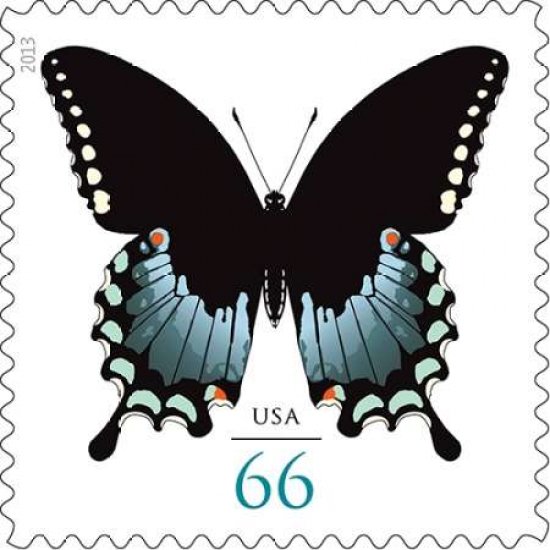 Spicebush Swallow Tail Canvas Art - US POSTAL SERVICE (24 x 24)