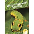 thumbnail image 1 of Spicebush Swallowtail Caterpillars (Paperback), 1 of 1