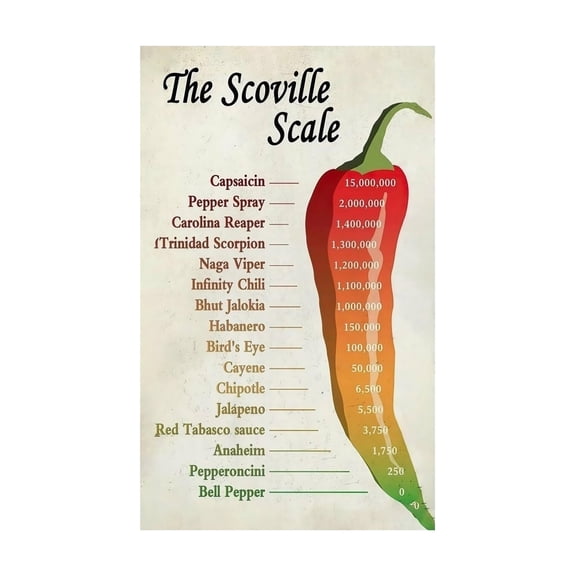 Spicy Pepper Heat Level Chart Poster Spicy Food Reference Guide Kitchen Decor Diner Wall Art Home Bar Decorations