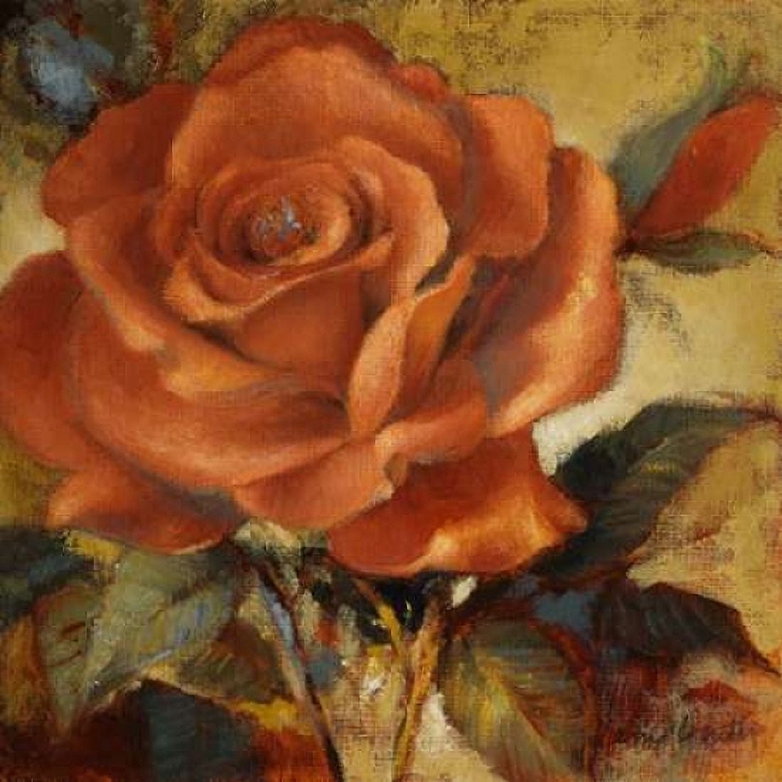 Spicy Rose I Canvas Art - Lanie Loreth (24 x 24)