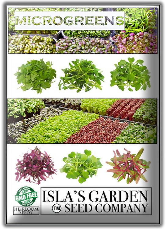 Spicy Salad Mix Microgreens Blend of Seeds, 300 Heirloom Seeds Per