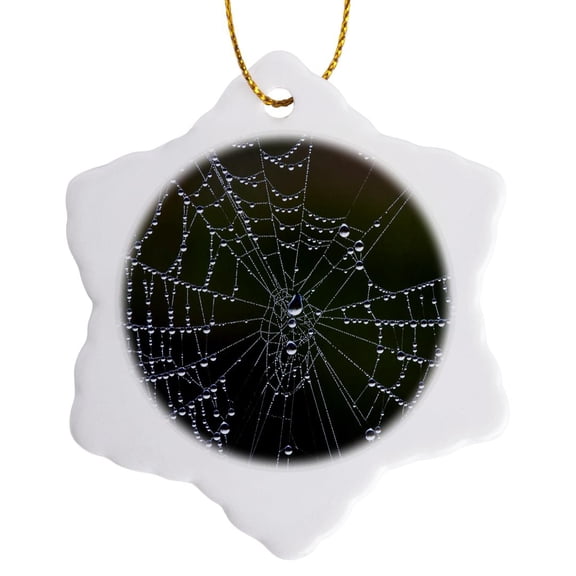 3drose, Spider a Web with Dew Drops - Georgia, Savannah, 3 inch Snowflake Porcelain Ornament