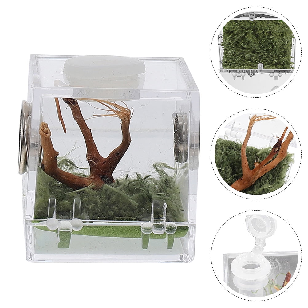 Spider Breeding Box Insect Breeding Box Acrylic Landscape Box Reptile