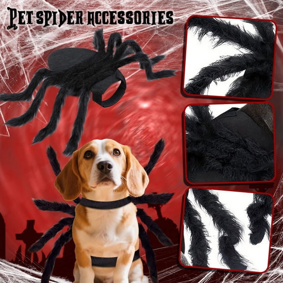 Spider Costume for Halloween Party Decoration, Cosplay Costumes for Small Dogs and Cat, Puppy Dress Up Accessories(D)