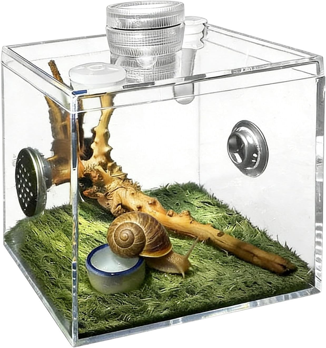 Acrylic Terrarium for Small Reptiles, Jumping Spider, Snail, Mantis