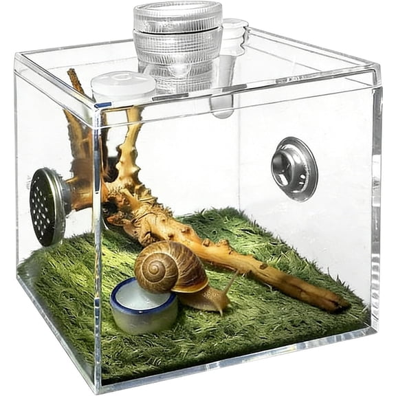 Acrylic Terrarium for Small Reptiles, Jumping Spider, Snail, Mantis