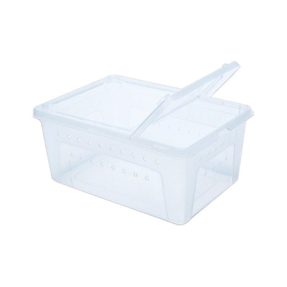 Spider Feeding Box Acrylic Reptile Enclosure Escape-Proof Insect Habitat