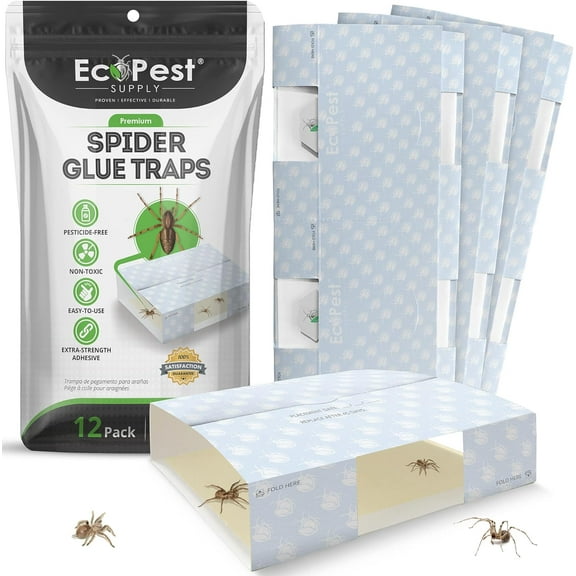 Spider Glue Trap – 12 Pack | Natural Indoor Glue Traps for Spiders and Other Bugs and Crawling Insects | Adhesive Spider Bait Trap, Monitor, Killer and Detector with for Pest Control