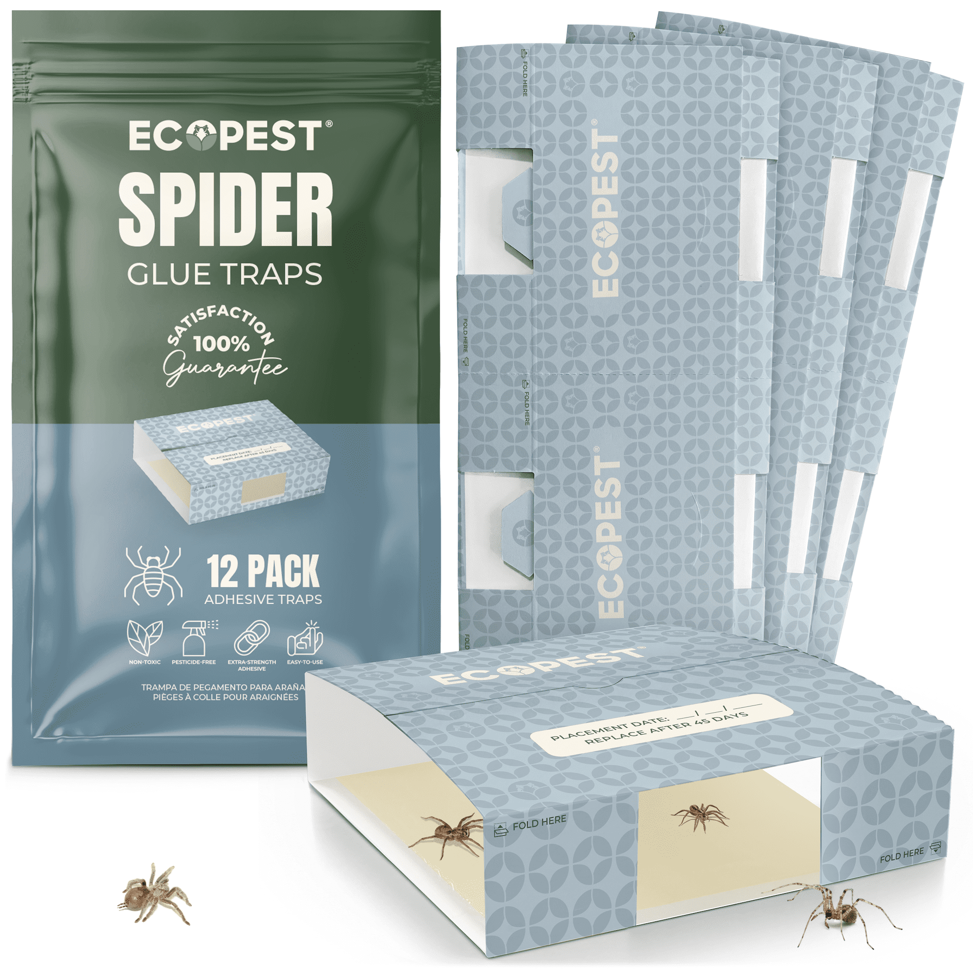 EcoPest Spider Glue Trap