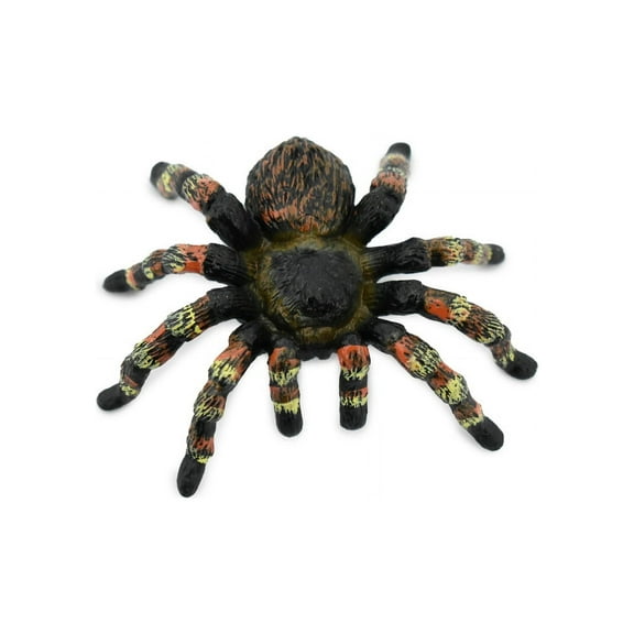 Spider, Goliath Bird Eating Spider, Hand Painted, Rubber Insect, Realistic Toy Figure, Model, Replica, Kids, Educational, Gift, 3" CH297 BB128
