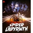 thumbnail image 1 of Spider Labyrinth, 1 of 1