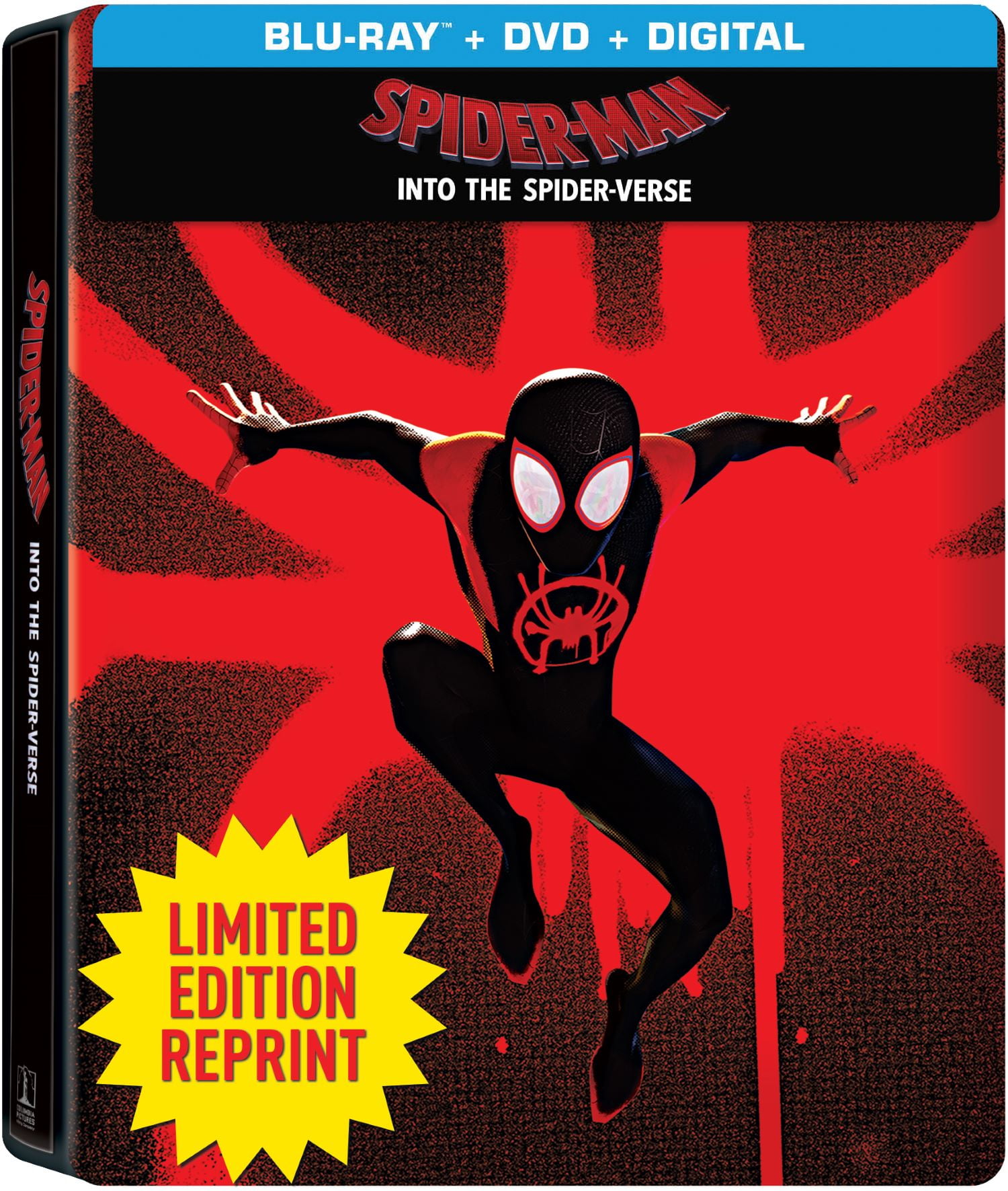 Spider-Man: Across The Spider-Verse - DVD + Digital