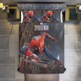 SpiderMan Action 3 Piece Sets Full/Queen Size Reversible