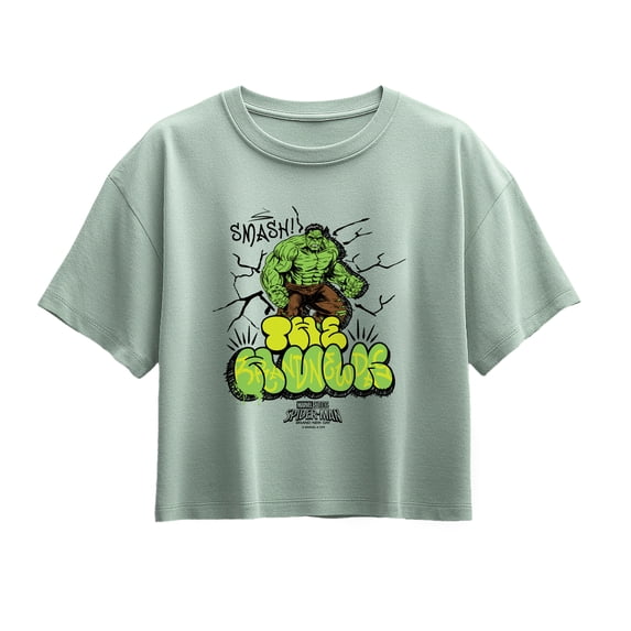 Spider-Man - The Hulk Street Short Sleeve Boxy Graphic T-Shirt
