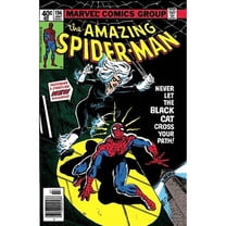 Pre-Owned Spider-Man Vs. the Black Cat Volume 1 (Paperback) 0785115595 9780785115595