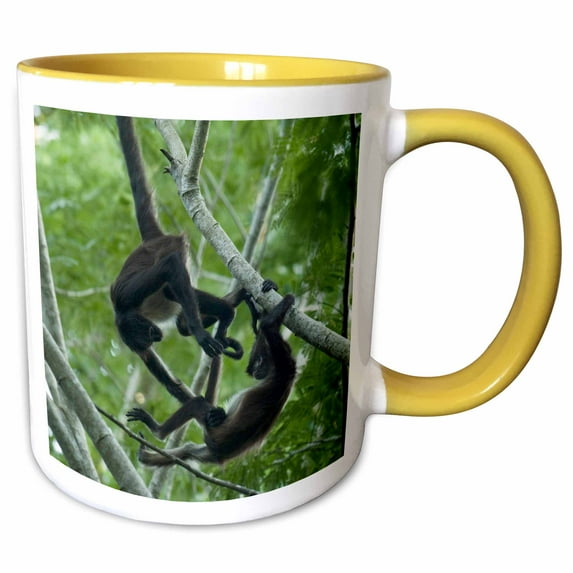 3drose, Spider Monkey, Coba Monkey Reserve, Yucatan, Mexico - Sa13 Pox0032 - Pete Oxford, 15oz Two-tone Yellow Mug