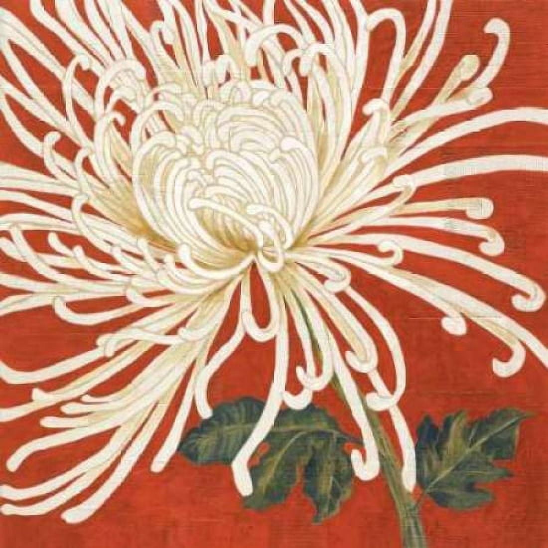 Spider Mum II Canvas Art - Judy Shelby (24 x 24)