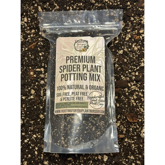 Spider Plant Premium Potting Mix