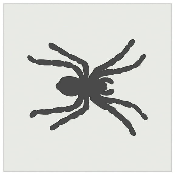 Spider Solid DIY Cookie Wall Craft Stencil - 3.5 Inch