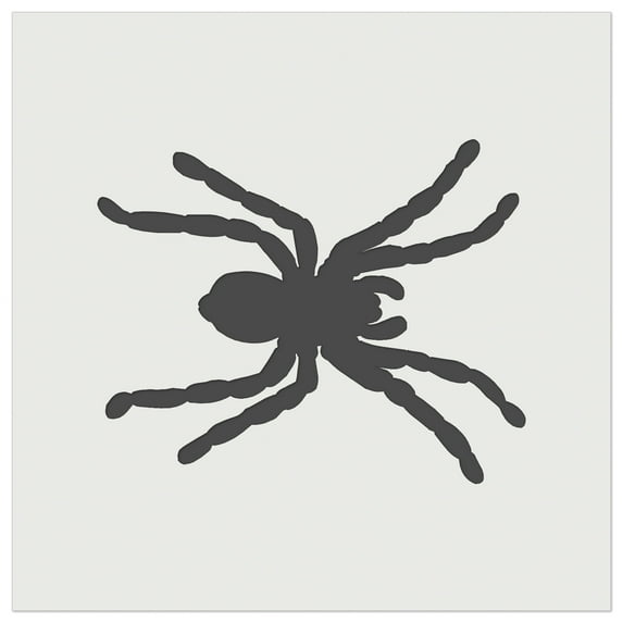 Spider Solid DIY Cookie Wall Craft Stencil - 4.5 Inch