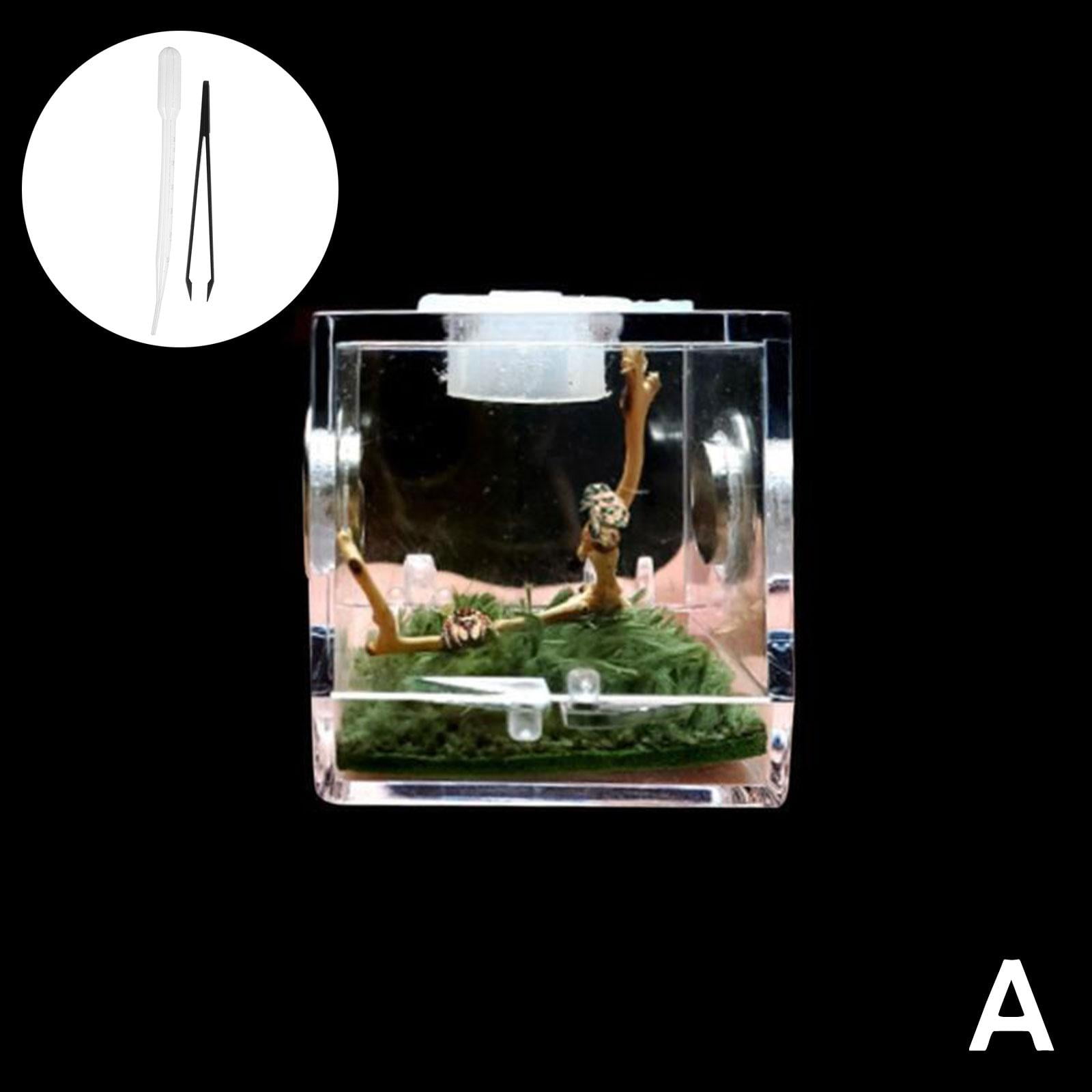 Spider Terrarium, Clear Acrylic Reptile Cage Habitat Insect Feeding Box, Pet Terrarium Tank with