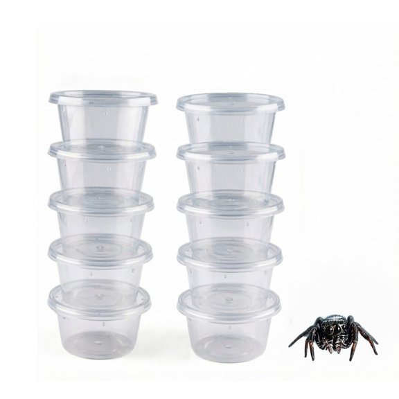 Spider Terrariums Breeding Box with Lid 10 Pcs Mini Clear for Gecko Tortoise Tarantula